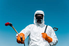 Best Termite Inspection and Treatment  in Canton, TX